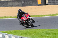 brands-hatch-photographs;brands-no-limits-trackday;cadwell-trackday-photographs;enduro-digital-images;event-digital-images;eventdigitalimages;no-limits-trackdays;peter-wileman-photography;racing-digital-images;trackday-digital-images;trackday-photos